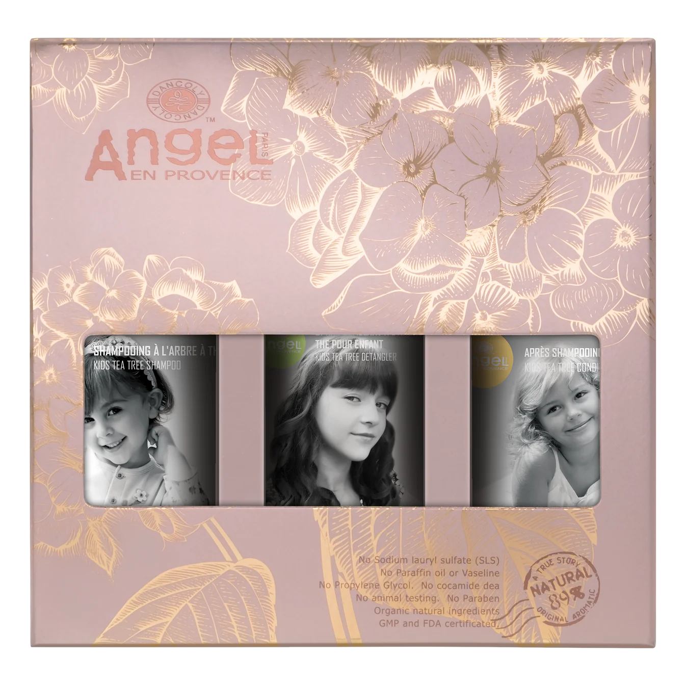 Angel Enprovence Christmas Packs