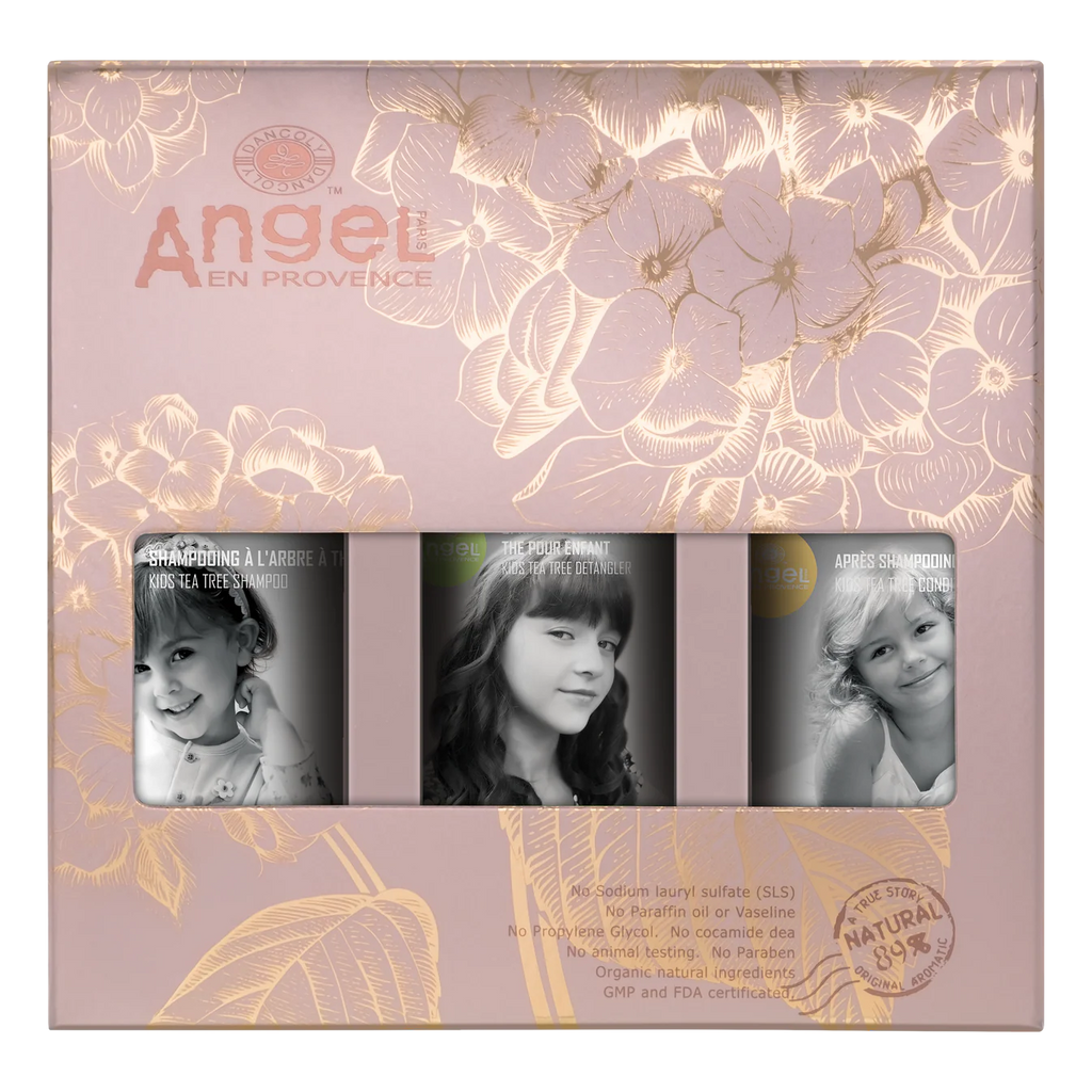 Angel Enprovence Christmas Packs
