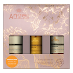 Angel Enprovence Christmas Packs