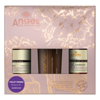 Angel Enprovence Christmas Packs
