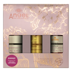 Angel Enprovence Christmas Packs