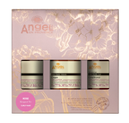 Angel Enprovence Christmas Packs
