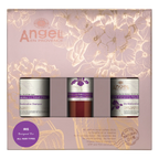 Angel Enprovence Christmas Packs